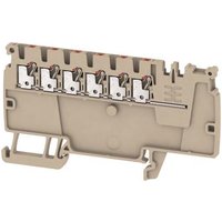 Weidmüller AAP11 1.5 LI RD Verteiler- Reihenklemmen PUSH IN 1,5qmm 1988160000 (Inhalt 50 Stück)