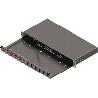 EasyLan LWL Verteilerfeld Basic LSB0A224 Grade C 1HE/12P 6xLC-Duplex OM4 RAL7035
