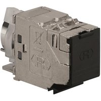 Rutenbeck 25GB-Uni- UM-Cat.6A iso 25/10G versalmodul geschirmt 13900310 (Inhalt 12 Stück)
