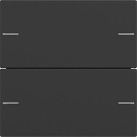 GIRA 5752005 Wippenset 2fach Tastsensor4 System 55 Schwarz matt (lackiert)