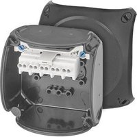 Hensel Ex-Kabelabzweigkasten KX 0202 C 1,5-2,5qmm 5polig schwarz Ex-Zone 2 u.22