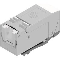EasyLan fixLink Pro+ VPE:24 CKFAK002P+ RJ45 Keystone geschirmt, Kat.8.1 (Inhalt 24 Stück)