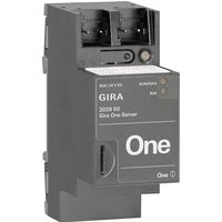 GIRA 203900 REG One Server One