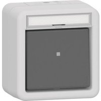 GIRA 311230 Wipp-Kontroll Aus 2-polig BSF WG AP IP44 Grau