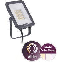 PHIL LED-Strahler Ledinaire IP65 grau 50W 6000lm 3000/4000/6500K symmetrisch