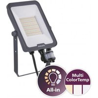 PHIL LED-Strahler Ledinaire IP65 grau 50W 6000lm 3000/4000/6500K symm. Sensor