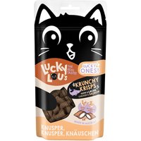 Lucky Lou Lucky Ones Krunchy Krisps Huhn & Lachs 60g