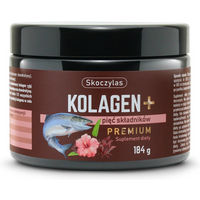 Regeneracja Stawów Kompleks Skoczylas Kolagen z Łososia + 5 Składników 184g