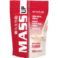 Odżywka Węglowodanowo-Białkowa Gainer Activlab Mass Up 3000g