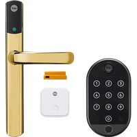 Conexis L2 Brass with Fingerprint Keypad Bundle