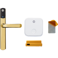 Conexis L2 Polished Brass