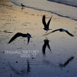tingvall trio im radio-today - Shop