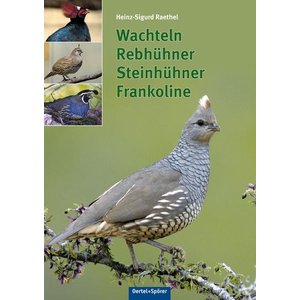 Rebhuhn im radio-today - Shop