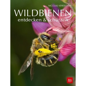 wildbienen im radio-today - Shop