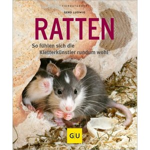 Ratten im radio-today - Shop
