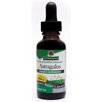 Astragalus Root Alcohol Free Extract Liquid 1 oz from Natures Answer