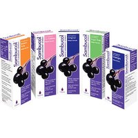 Black Elderberry Liquid Extract Kids Formula, 4 oz, Sambucol