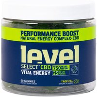 CBD Gummies Focused Energy, 60 Count, Level Select CBD