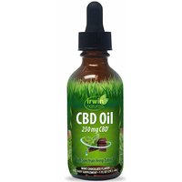 CBD Oil Drops - Mint Chocolate Flavor, 250 mg CBD, 1 oz, Irwin Naturals