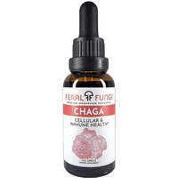 Chaga, 1 oz, Feral Fungi