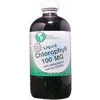 Chlorophyll Liquid 100mg w/Spearmint & Glycerin 16 oz from World Organic