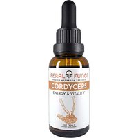 Cordyceps, 1 oz, Feral Fungi