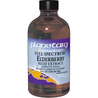Elderberry Fluid Extract Liquid 8 fl oz, Planetary Herbals