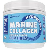 Hydrolyzed Marine Collagen Peptides, 11.3 oz, Zammex Nutrition