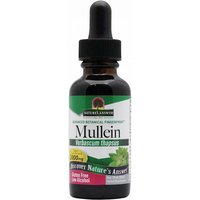 Mullein Leaf Extract Liquid 1 oz from Natures Answer