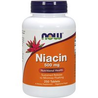 Niacin 500 mg Time Released Vegetarian, 250 Tablets, NOW Foods