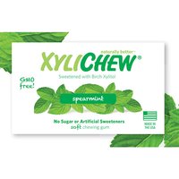 XyliChew Sugar Free Chewing Gum, Spearmint, 60 Pieces