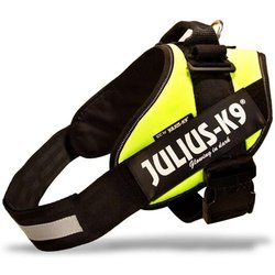 JULIUSK9 Idc Pett Lxl 7196 Gf