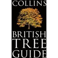 Collins British Tree Guide