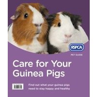 Care for Your Guinea Pig