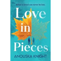 Love in Pieces