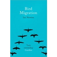 Bird Migration