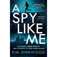 A Spy Like Me
