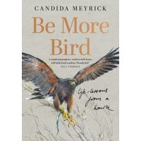 Be More Bird