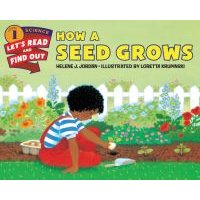 How a Seed Grows