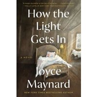 How the Light Gets In