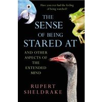 The Sense of Being Stared At