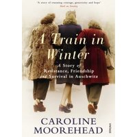 A Train in Winter