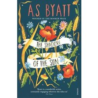 The Shadow of the Sun