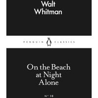 On the Beach at Night Alone
