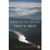 Wade in the Water