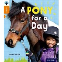 A Pony for a Day