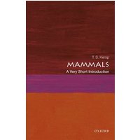 Mammals