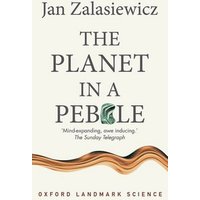 The Planet in a Pebble