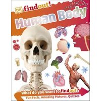 Human Body