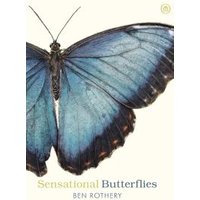Sensational Butterflies